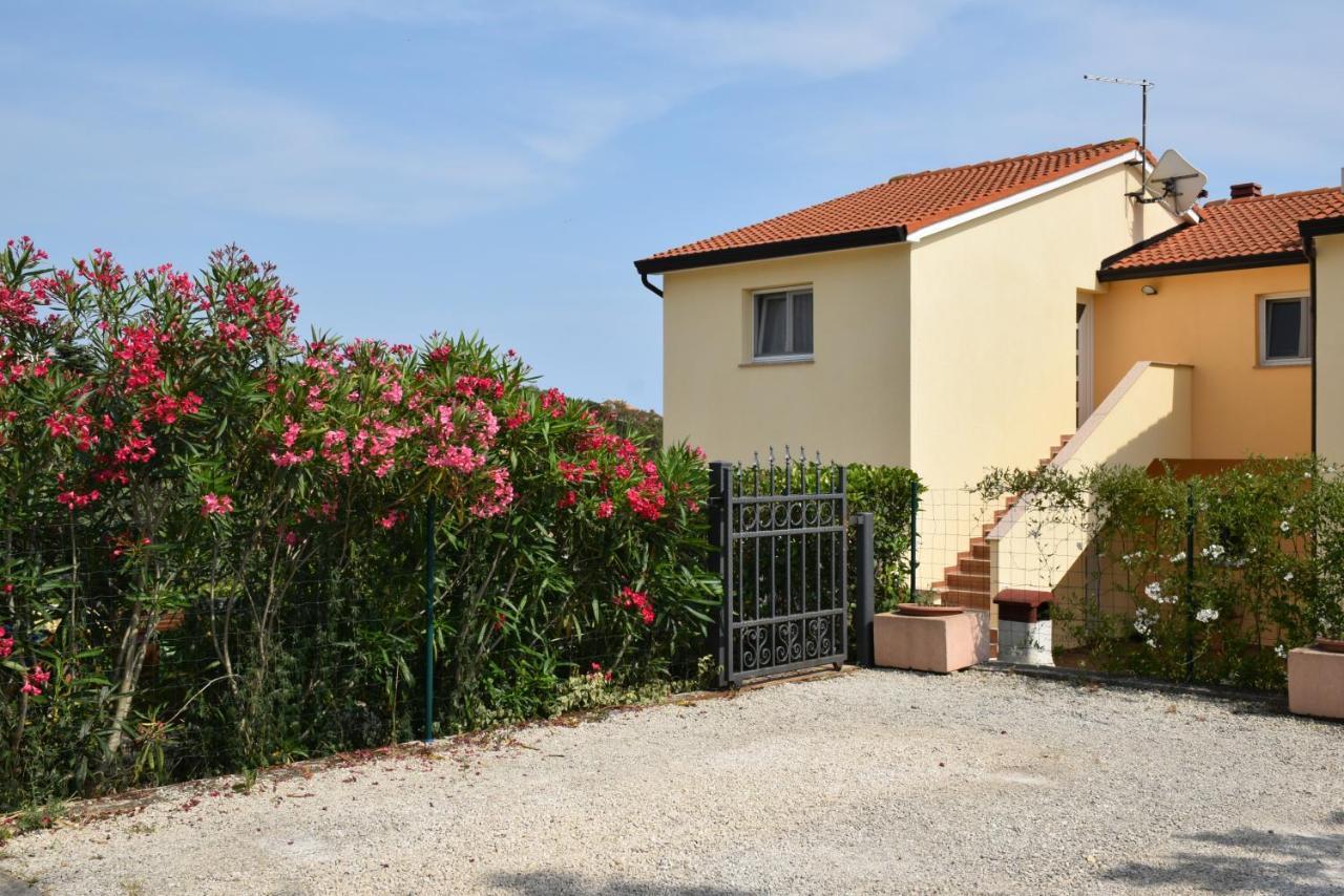 Villa Vinki Vinkuran Exteriér fotografie